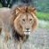 Umzolozolo Private Safari Lodge