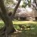 Letaba Restcamp - Kruger Park