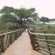 Lower Sabie Restcamp - Kruger Park