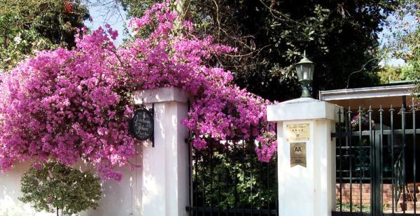 Victoria Place Guest House