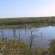 Mopani Restcamp - Kruger Park
