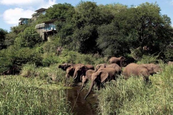 Singita Lebombo Lodge