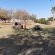 Campsite