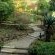 Thorn Tree Lodge