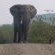 Olifants Restcamp - Kruger Park