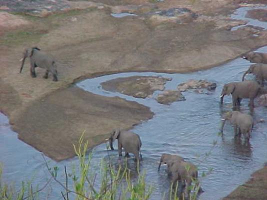 Olifants Restcamp - Kruger Park