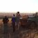 Game Drive