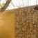 Naledi Game Lodge
