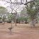 Satara Restcamp - Kruger Park