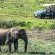 The Safari Lodge