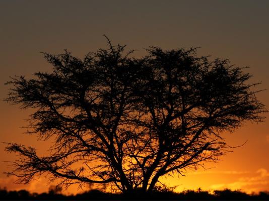 Amakhala Game Reserve