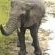 Shingwedzi Restcamp - Kruger Park