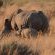 Nungubane Private Game Lodge