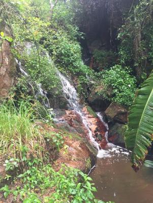 Magoebaskloof Hiking Trail