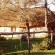 Antbear Lodge