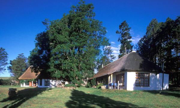 Antbear Lodge