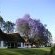 Antbear Lodge