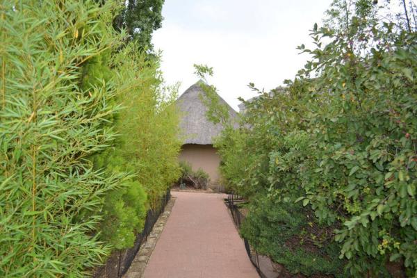Maluti Mountain Lodge