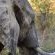 Game Viewing