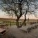 Viewing Deck