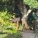 Stairway to wetlands