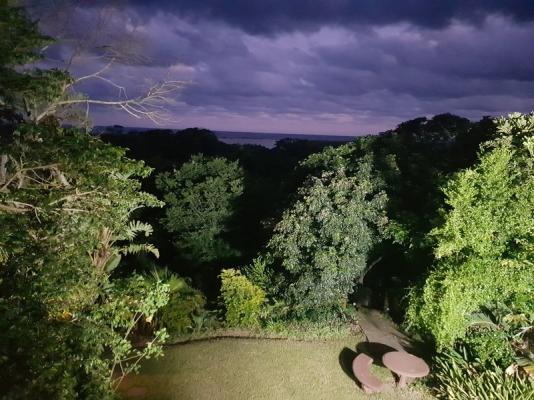 Garden at night