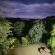 Garden at night