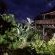 Garden at night