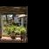 Howards End Manor B&B - 134415