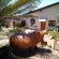 Avondrust Guest House - 135478