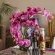 La Loggia B&B - 135979