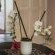 La Loggia B&B - 135988