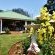 Fern Hill Hotel - 136051