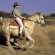 Fast Canter