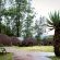 Mlilwane Wildlife Sanctuary - 136557