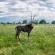 Farmstay Okakeua  - 136710