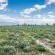 Farmstay Okakeua  - 136711