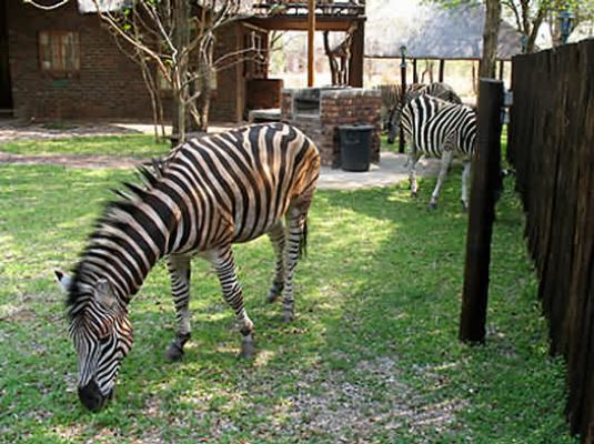 Marloth Park