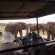Happy Jackal Guest House - 136964