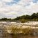 White Sands - 137151