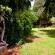 Geranium Guest House - 137623