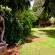 Geranium Guest House - 137623