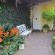 Geranium Guest House - 137624