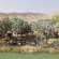 Omarunga Epupa-Falls Campsite - 137975