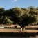 Canyon Road Campsite - 137998