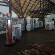 Zambezi Mubala Camp - 138041