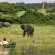 Chobe River Campsite - 138082
