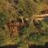 Namushasha River Camping2Go - 138086