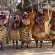 Namushasha River Lodge - 138101