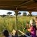Namushasha River Campsite - 138110
